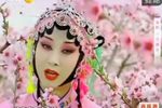 三滴血 全本