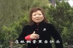杨红梅唱腔合辑 01（共11段）