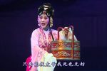 狸猫换太子 上本