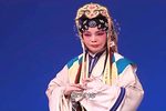 庵堂认母 全折下载
