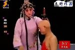 顶灯 选段