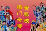 杨门女将 1