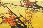杨门女将》