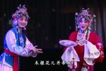 火焰驹 全本下载