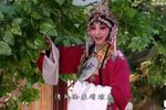 表花》