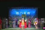 杨门女将 片段