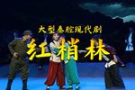 红梢林 全本