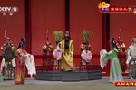 狸猫换太子下载