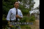 三滴血 全本