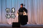 八件衣 杨廉悔路 选段