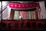粤西白戏双宝球 全集下载