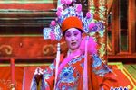 蛇吞相 第三集 胡琴