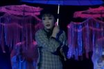 都督夫人董竹君 “梅花谱”珍藏版
