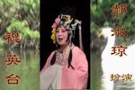 柳荫记