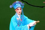柳荫记 青春版