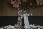 九美狐仙下载