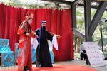 孙炎哭洞 胡琴 2