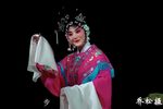 投庄遇美