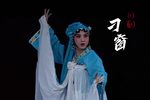 刁窗 “梅花谱”珍藏版