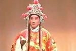 药毒杨勇 全本