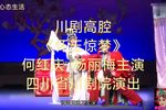 怀玉惊梦下载