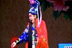 武家坡 胡琴》