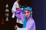 杀狗惊妻