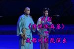 传说陈麻婆 下