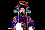 审玉蟹下载
