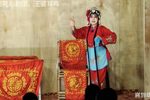 王婆骂鸡》