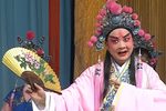 问病逼宫 “梅花谱”珍藏版》