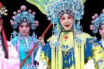 触说太后 胡琴》