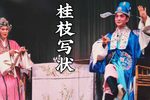 桂枝写状