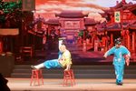 芙蓉国粹