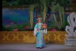狸猫换太子·抱妆盒 西秦戏