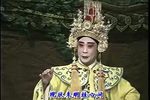 皇帝告状 雷剧