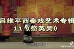狸猫换太子 十一-西秦戏