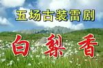 白梨香