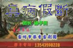 真病假断