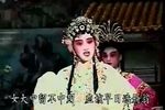 文武香球 全本