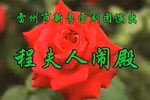 程夫人闹殿