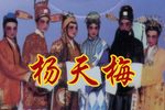 杨天梅 选段