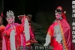白羅衣 1