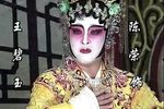 重回鸳鸯 雷剧下载