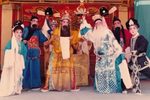 金叶菊 御告