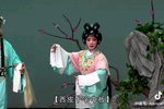 狸猫换太子 抱妆盒