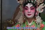 雷剧 - 太子卖身
