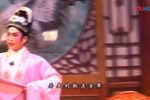 桂枝告状 下