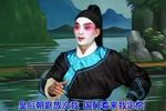 雷剧 替皇帝
