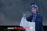 薛仁贵回窑·我夫本是书生样